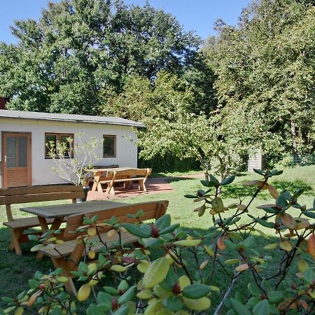 Strandstrasse 60 Ferienwohnung S12 غرال موريتز المظهر الخارجي الصورة